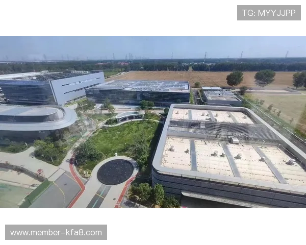 利来国际K8集团未来发展战略与创新布局助力行业引领与持续成长 利来国际K8集团未来发展战略与创新布局助力行业引领与持续成长