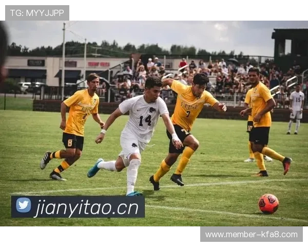 尊龙凯时足球官网：足球赛事数据分析与专家预测助你赢得更多奖金