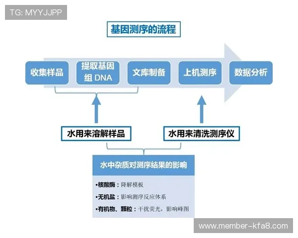 ag厅k8最新版本更新内容及未来发展趋势全面分析助你把握第一手资讯